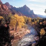 Zion NP